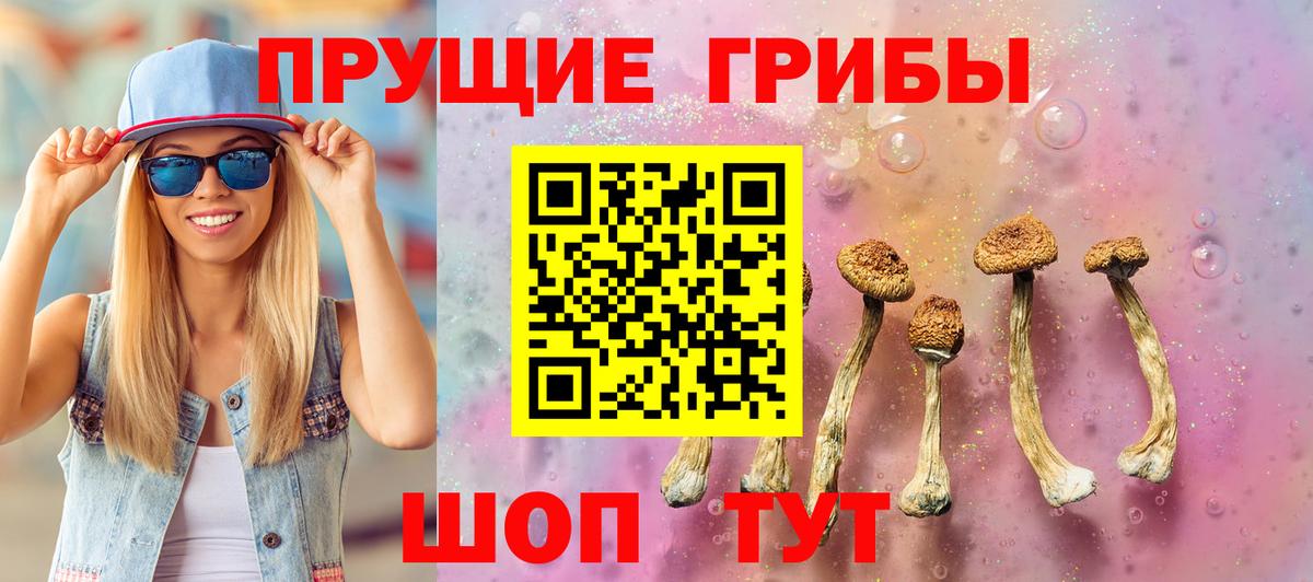 купить наркотик  Псилоцибиновые грибы прущие грибы  Вход с VPN  Волгодонск 